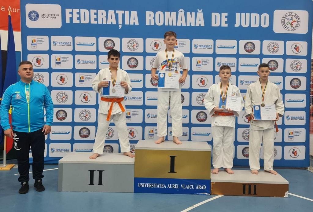 andrei mates judo Opinie de Carei